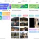 净印短视频去水印工具-图集一件解析