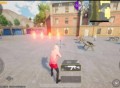 PUBG超广角(支持4服)