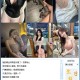 PC美女爬取下载网站妹子写真5.20日最新v2.6